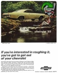 Chevrolet  1965 149.jpg